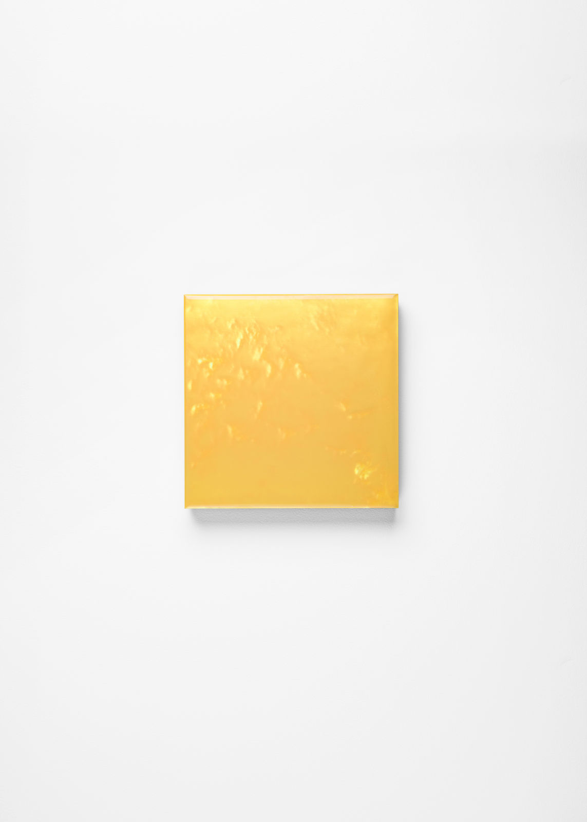 Noritaka Tatehana, Primary Colors, 2022