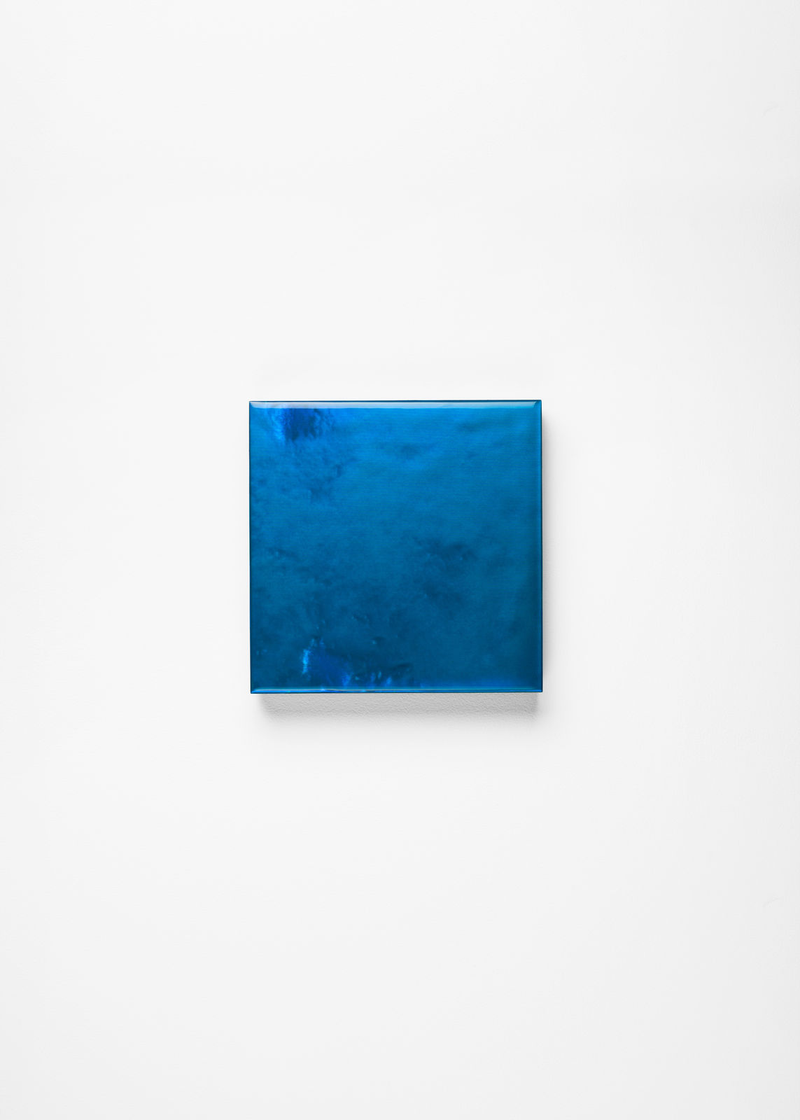 Noritaka Tatehana, Primary Colors, 2022