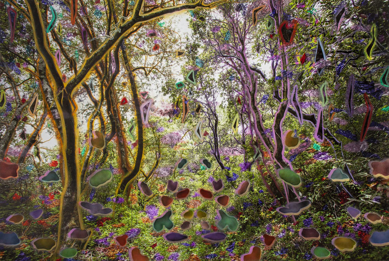 Sarah Anne Johnson Canadian b. 1976 TFH, 2019 Archival Pigment Print with Oil and Acrylic Paint Image: 40” x 60” (101.5 x 152.5 cm) Framed: 45 3/8” x 65 1/2" (115.5 x 166.5 cm) (SAJ.21405)