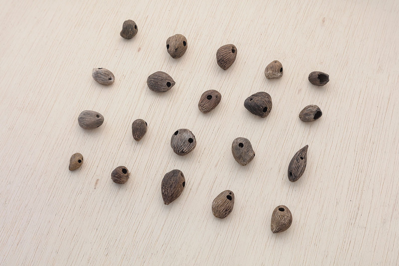 Entremarés, 2025. Galeria Marilia Razuk Foto/ Photo Filipe Berndt