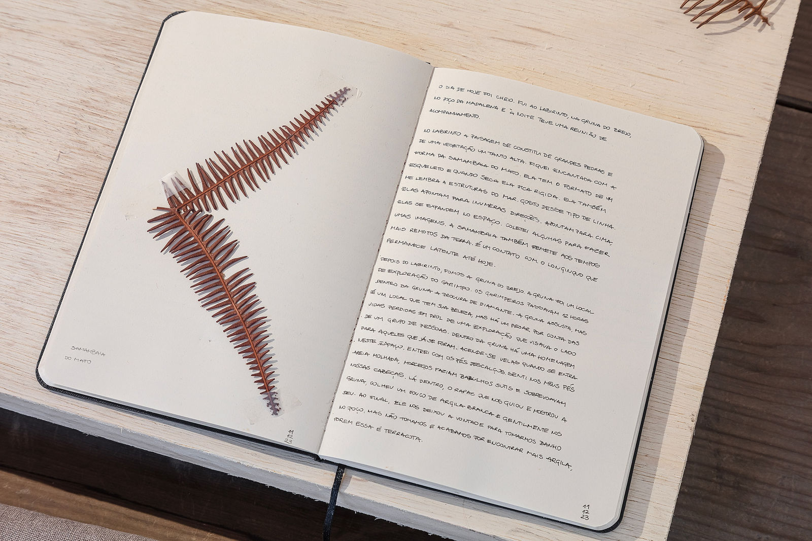 Entremarés, 2025. Galeria Marilia Razuk Foto/ Photo Filipe Berndt