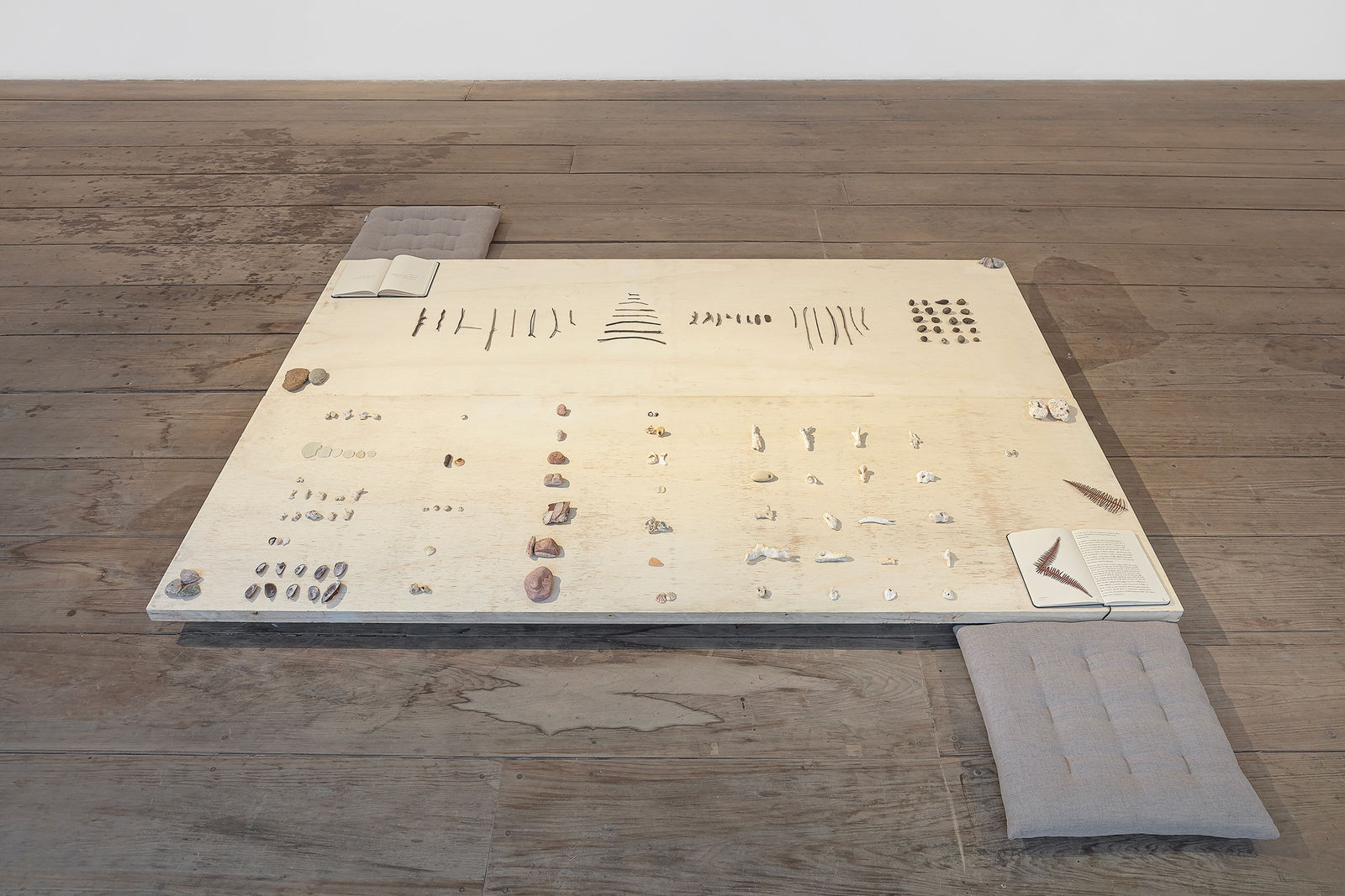 Entremarés, 2025. Galeria Marilia Razuk Foto/ Photo Filipe Berndt