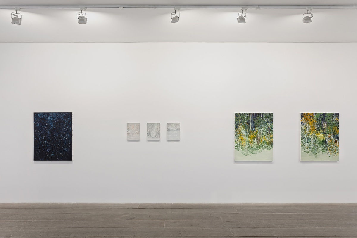 Vista da exposição (Exhibition View) Água Viva, Alexandre Wagner @ Galeria Marilia Razuk. Foto (Photo) Filipe Berdnt