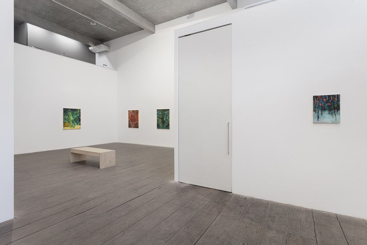 Vista da exposição (Exhibition View) Água Viva, Alexandre Wagner @ Galeria Marilia Razuk. Foto (Photo) Filipe Berdnt