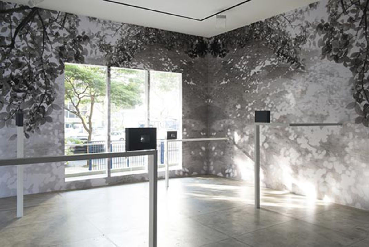 Lucia Mindlin Loeb: Mem&oacute;ria Fotogr&aacute;fica, 2014. Vista Geral da Exposi&ccedil;&atilde;o/Exhibition View