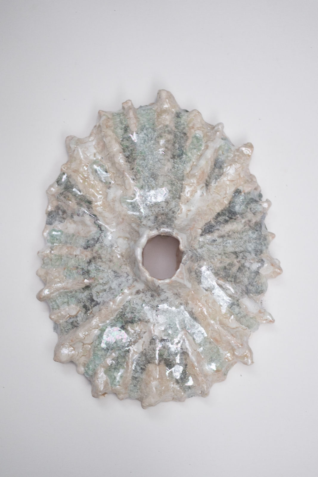 Analia Moras, Telespo, 2025