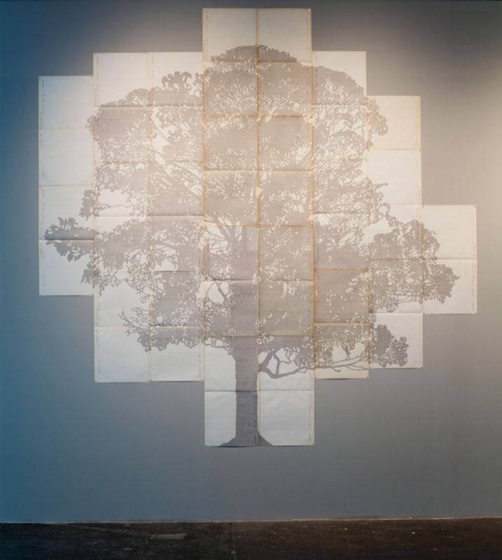 Johanna Calle, 31a. Bienal de São Paulo, 2014