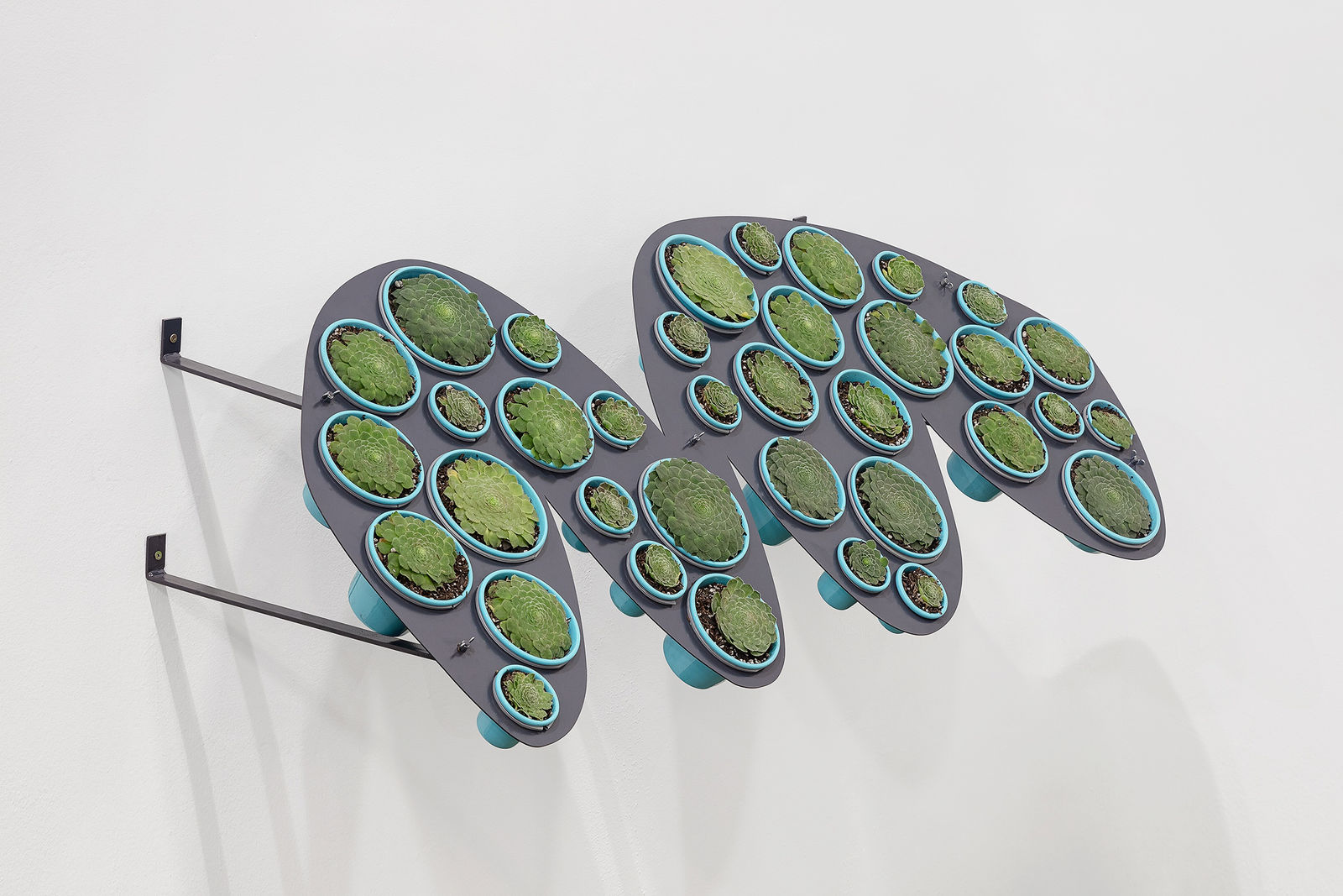 Ana Dias Batista, Planisfério, 2024