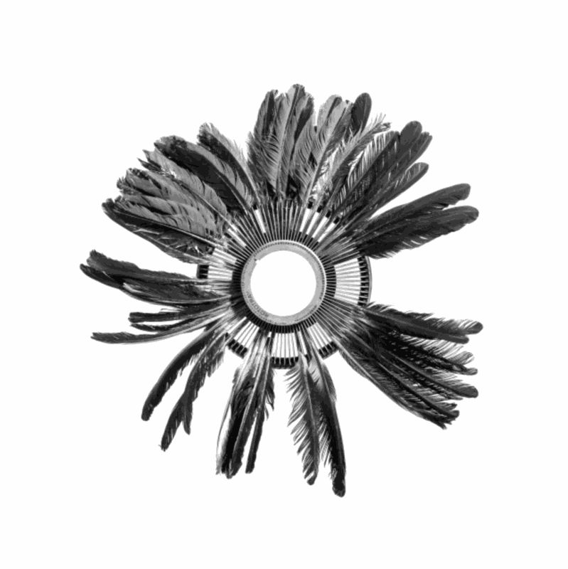 Zé Carlos Garcia, Cocar, 2019