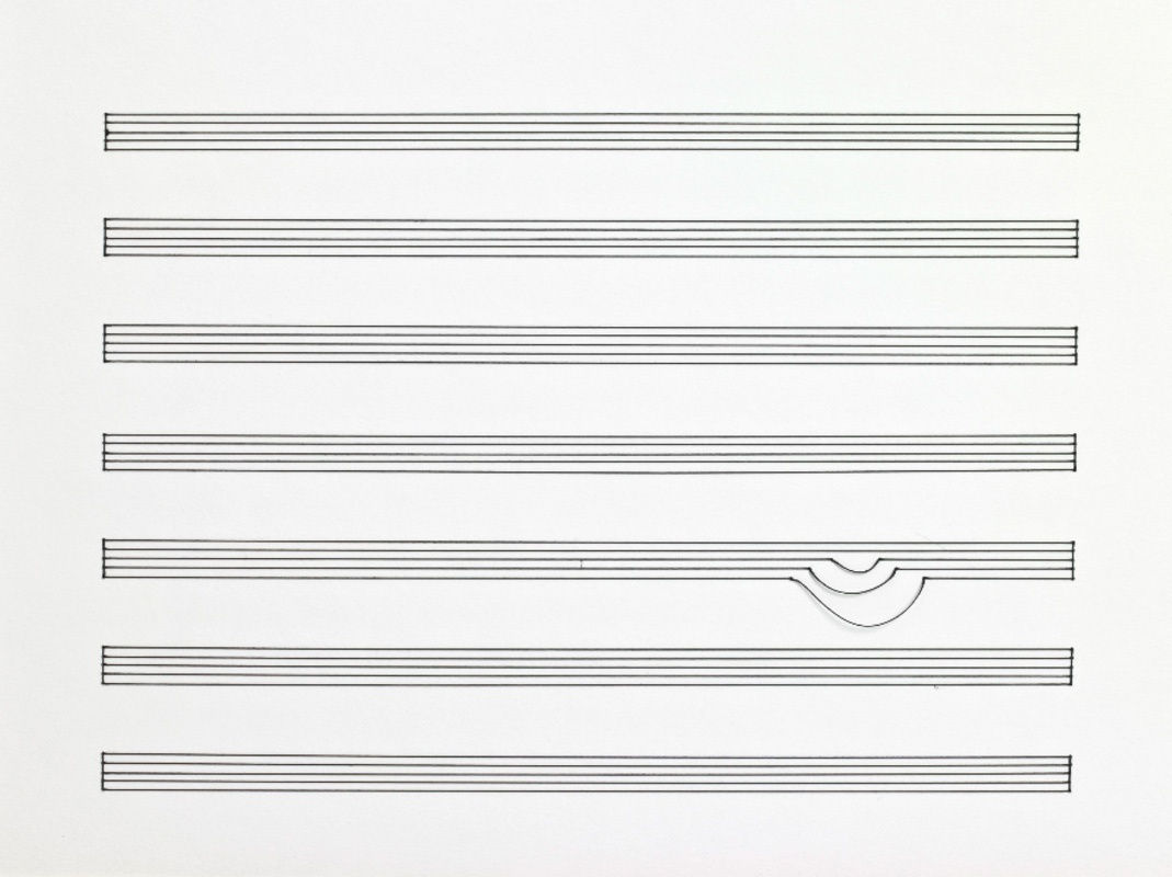 Johanna Calle, Pentagrama Descolgado, 2009