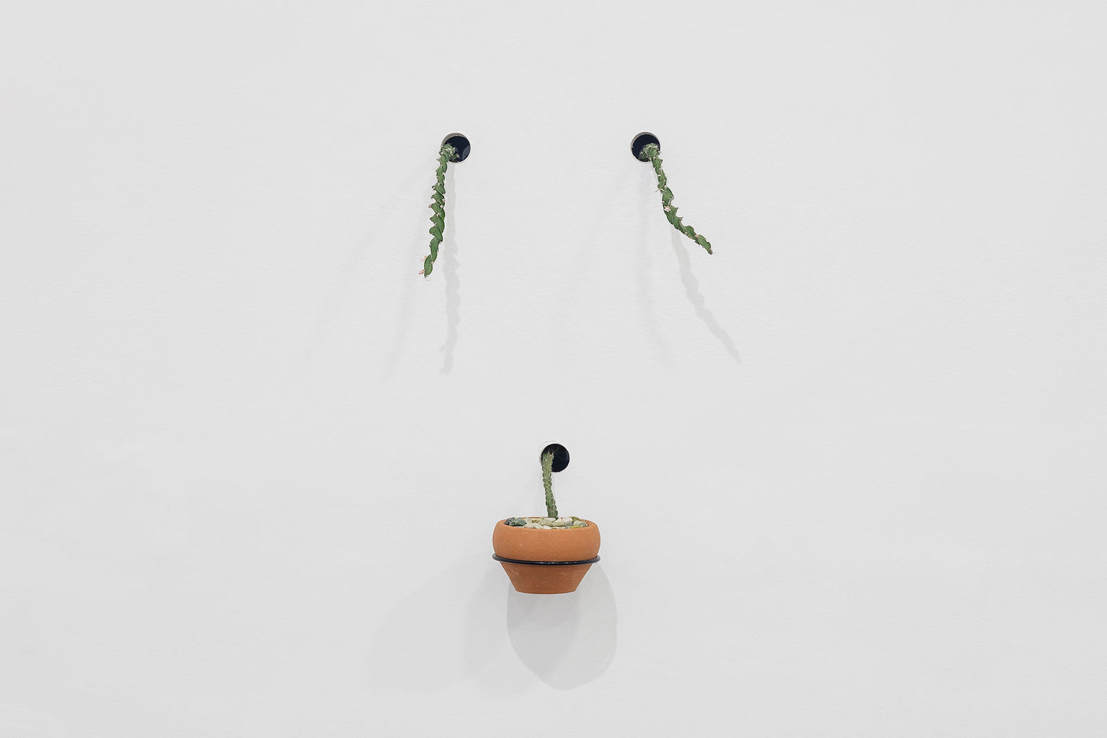 Ana Dias Batista, Fator Teratológico, 2024