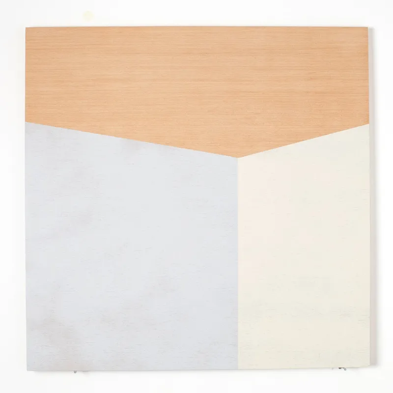 Carolina Martinez, Sem título, 2011