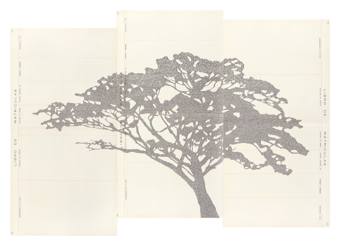 Johanna Calle, Perimetros (Triptico), 2019