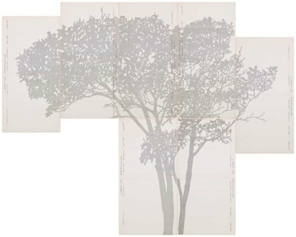 Johanna Calle, Perímetros N1, 2012