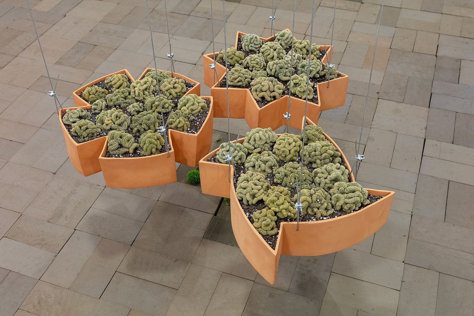 Ana Dias Batista, Sujeito-oculto, 2024