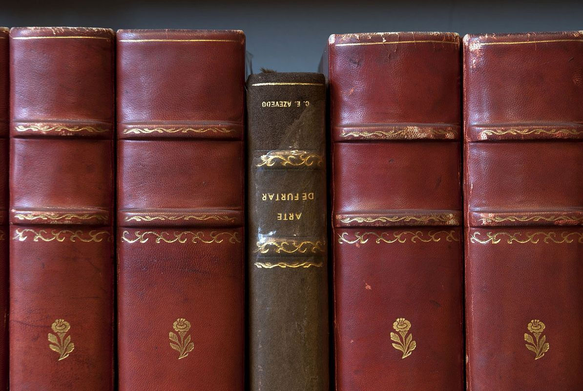 Lucia Mindlin Loeb/ Questões do Dia, 2019/ Galeria Marilia Razuk