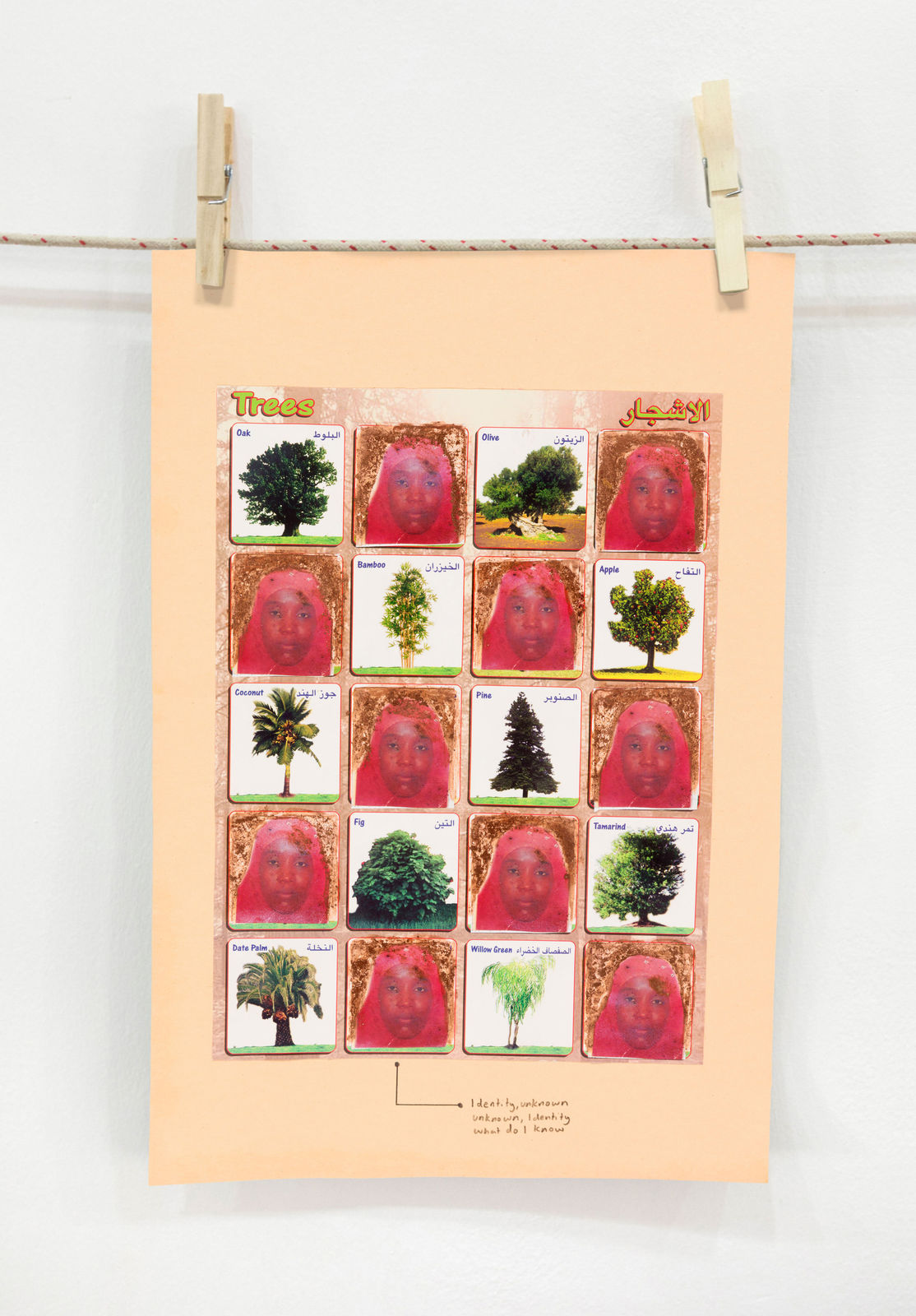 Rahima Gambo, Trees, A Walk series, 2021