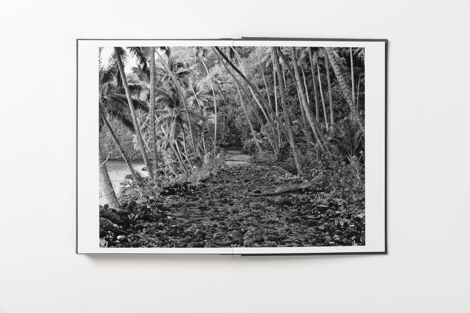 Guy Tillim, Hiva Oa, French Polynesia, 2010