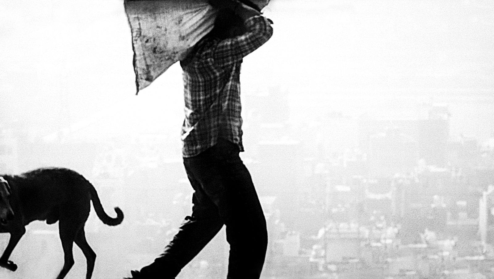 Jo Ractliffe, still #47