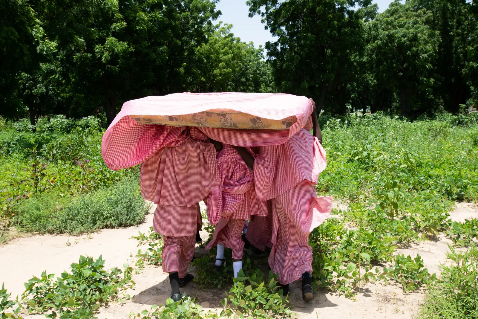 Rahima Gambo, Waiting in the woods I, 2019