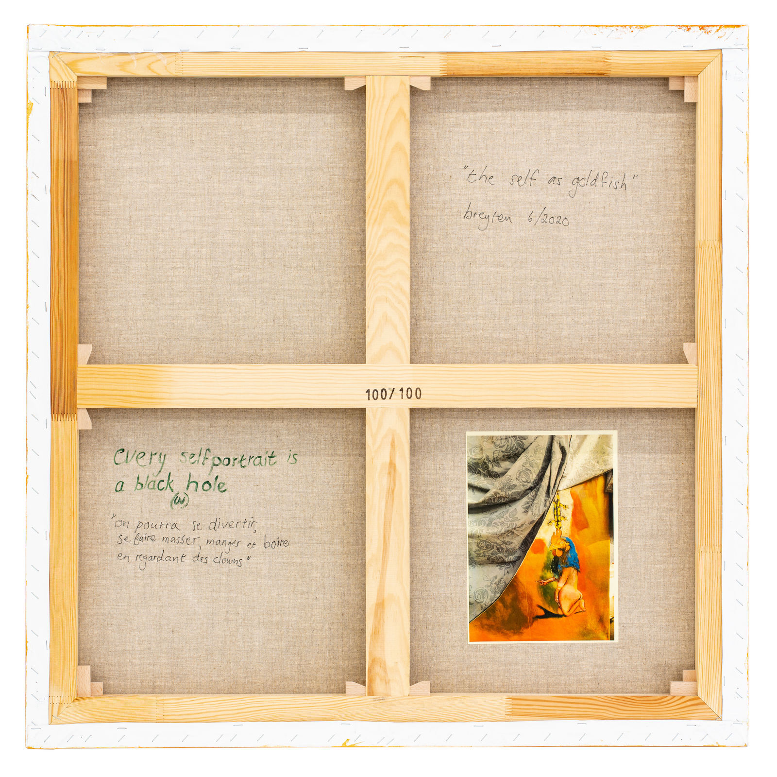 Breyten Breytenbach, the self as goldfish, 2021