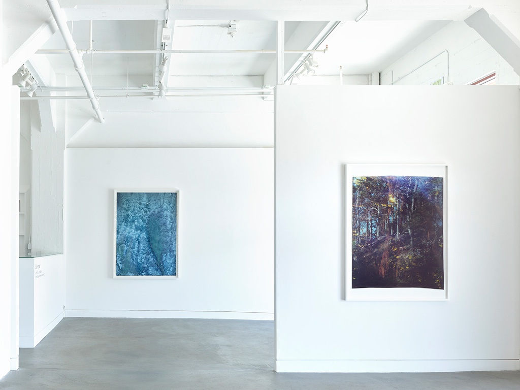 Installation view of Elemental, April 7 - June 17, 2023 at Haines Gallery, San Francisco Photo: Robert Divers Herrick