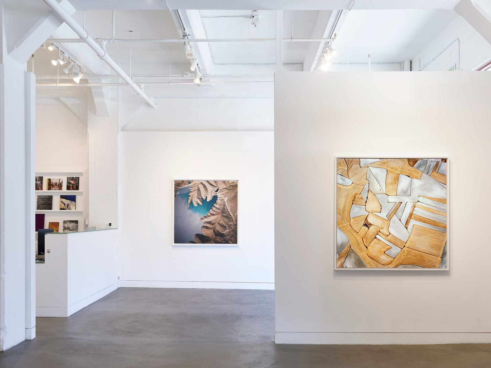 Installation view of David Maisel: Un/Earthed, November 3, 2023 - January 6, 2024 at Haines Gallery, San Francisco Photo: Robert Divers Herrick