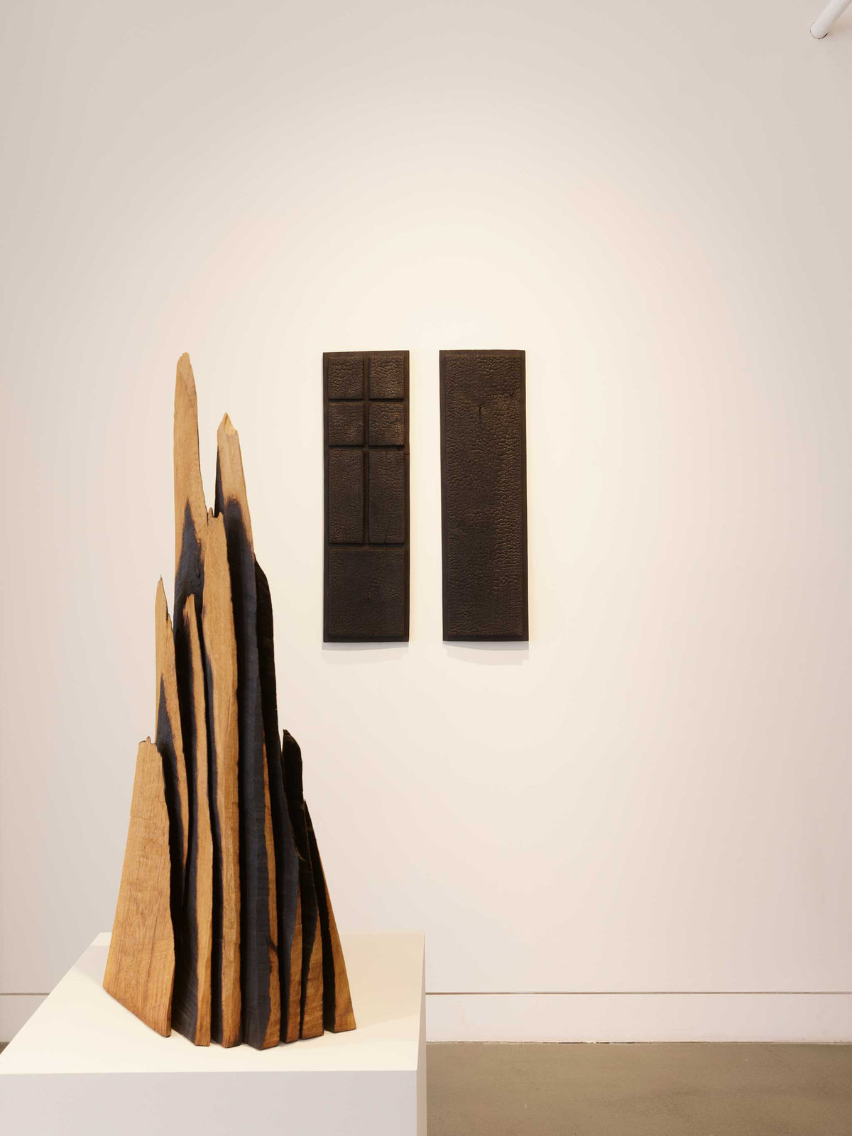 Installation view of David Nash: Wildwood, November 3, 2023 - January 6, 2024 at Haines Gallery, San Francisco, CA Photo: Robert Divers Herrick