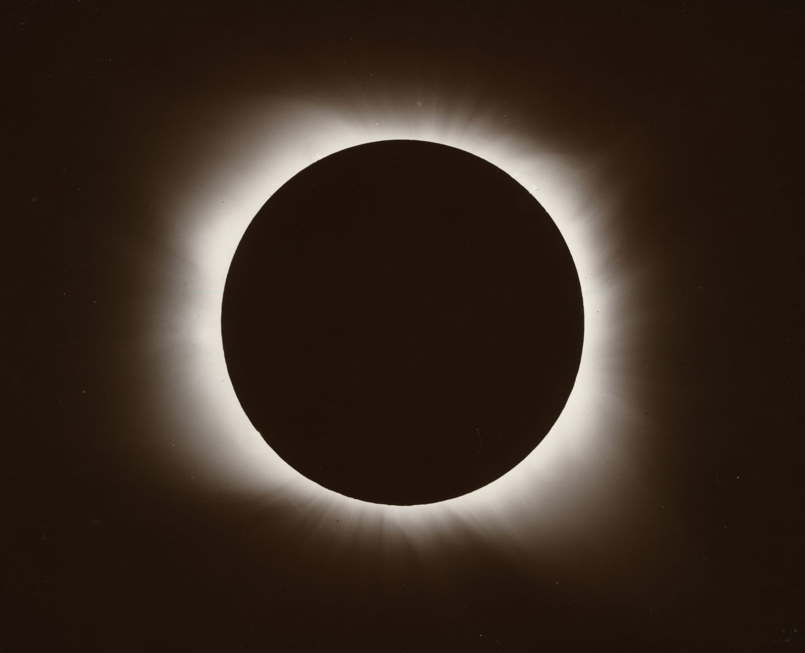 Linda Connor, January 22, 1898, c. 1990s