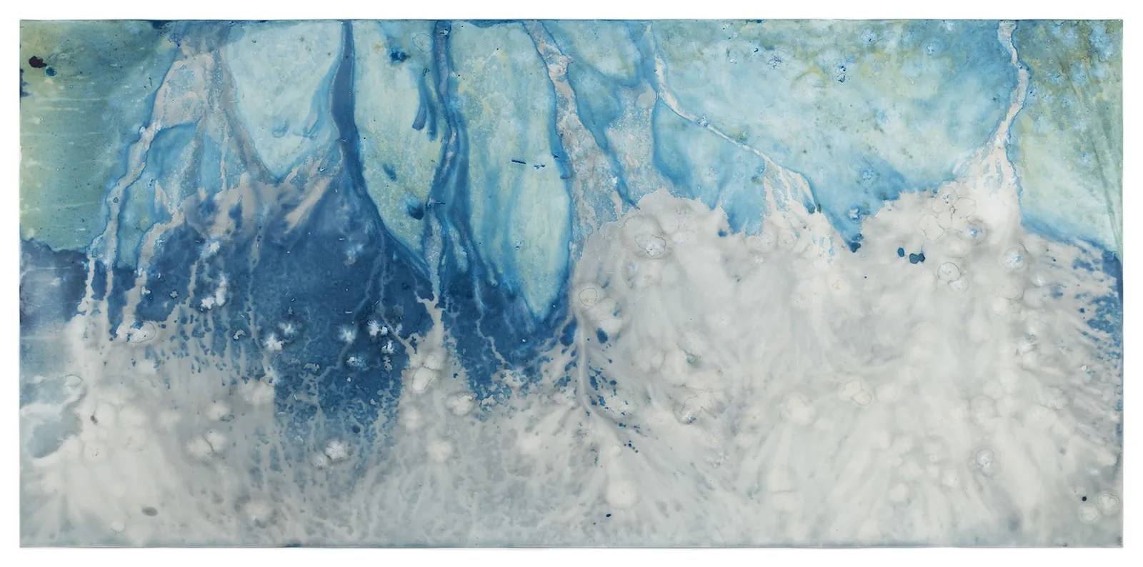 Meghann Riepenhoff, Ecotone #1428 (Bainbridge Island, WA 07.04.22, Throughfall and Falling Flowers), 2022