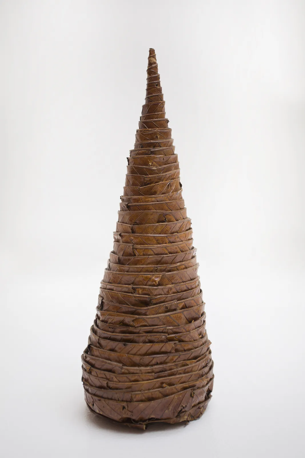 Andy Goldsworthy, Leaf Cone, 1987