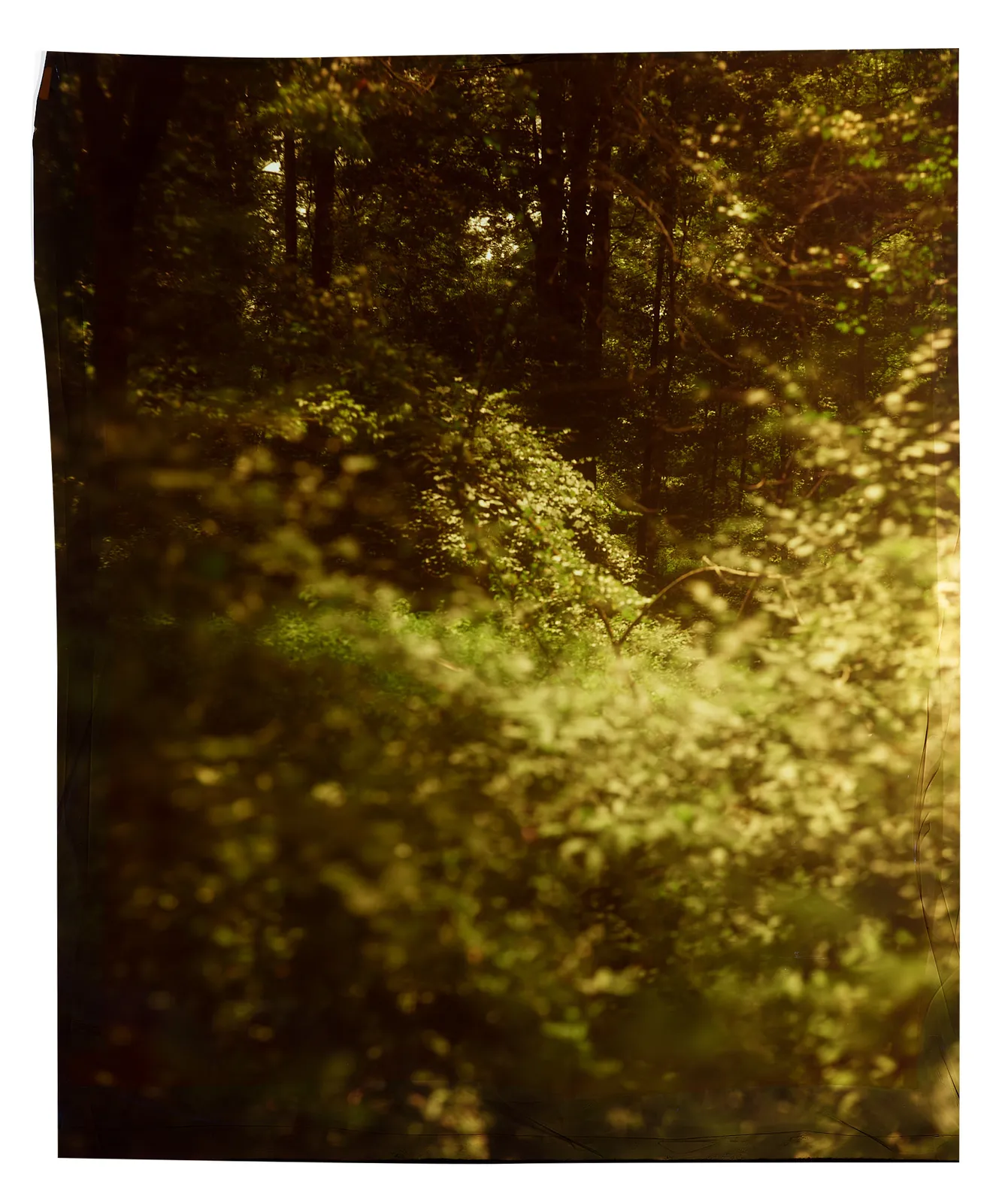 John Chiara, Selborne Lane at Augusta Road, South of Atlanta, Georgia, 2025