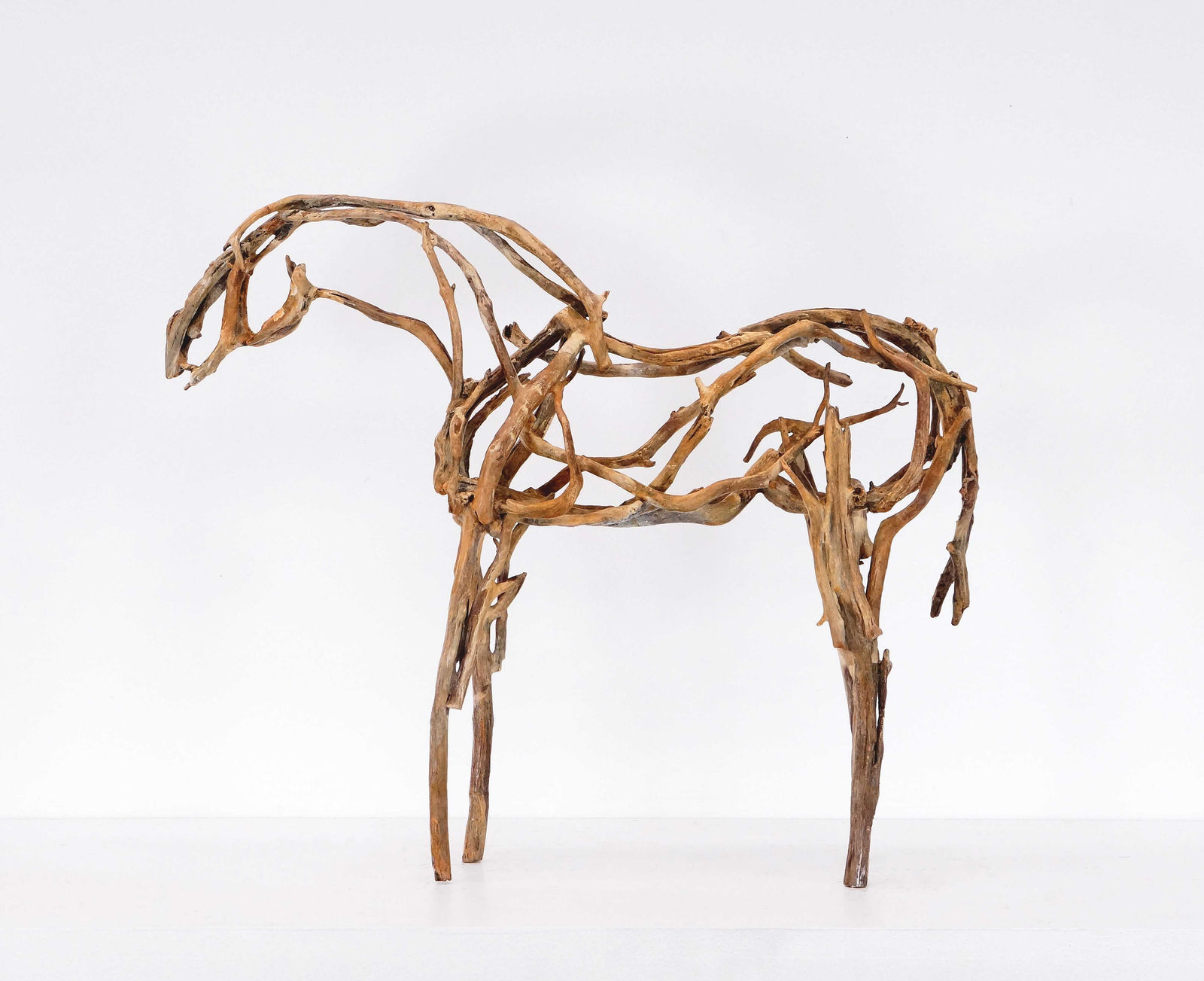 Deborah Butterfield, Kapena, 2022-2024