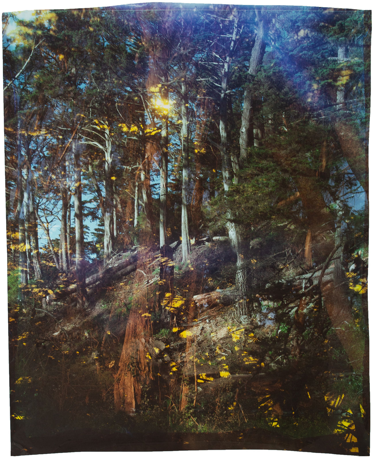 John Chiara, Avenue H: Traverse: Strawberry Hill, 2023