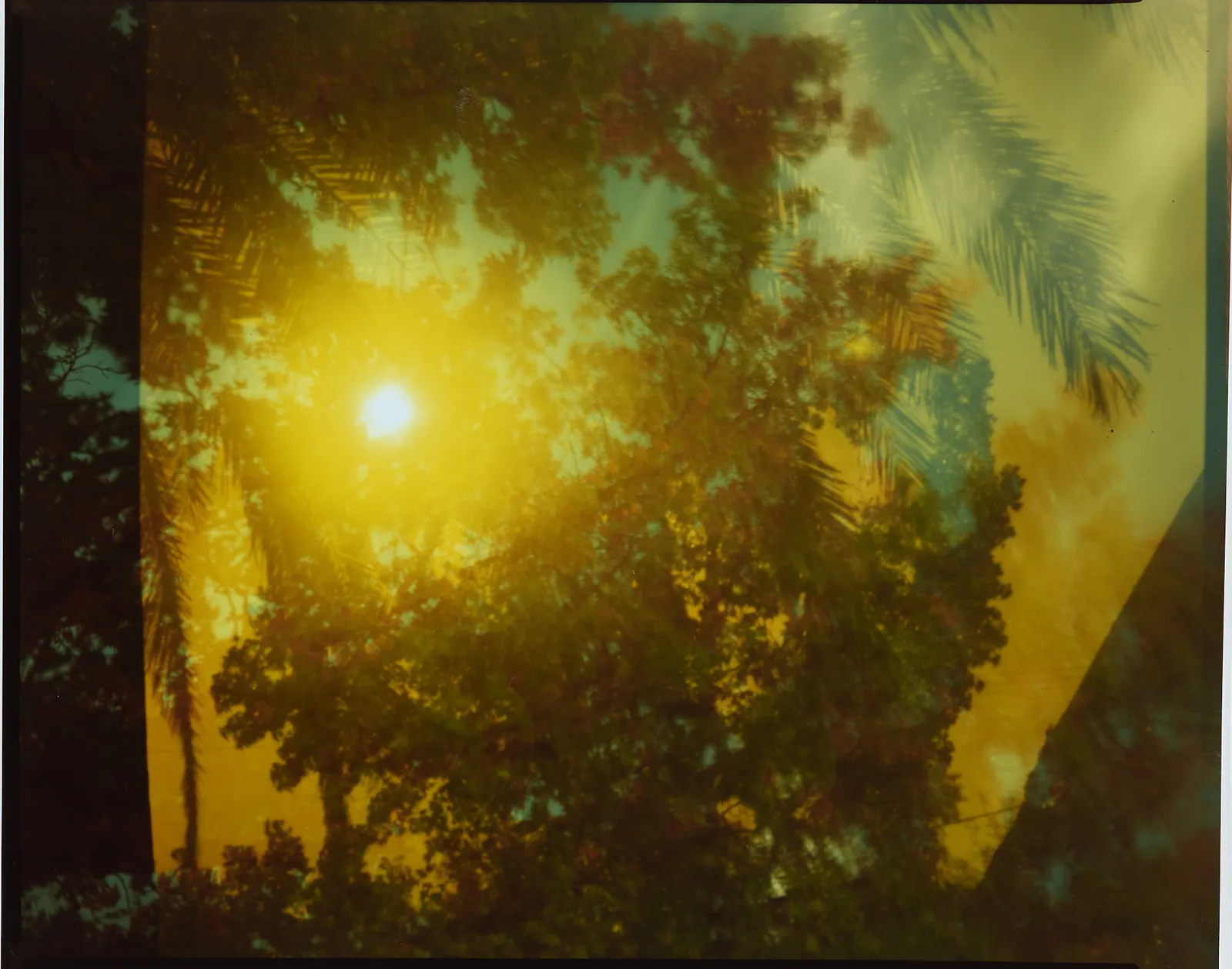 John Chiara, Agua Caliente at Vailetti, Sonoma County, V4, 2025