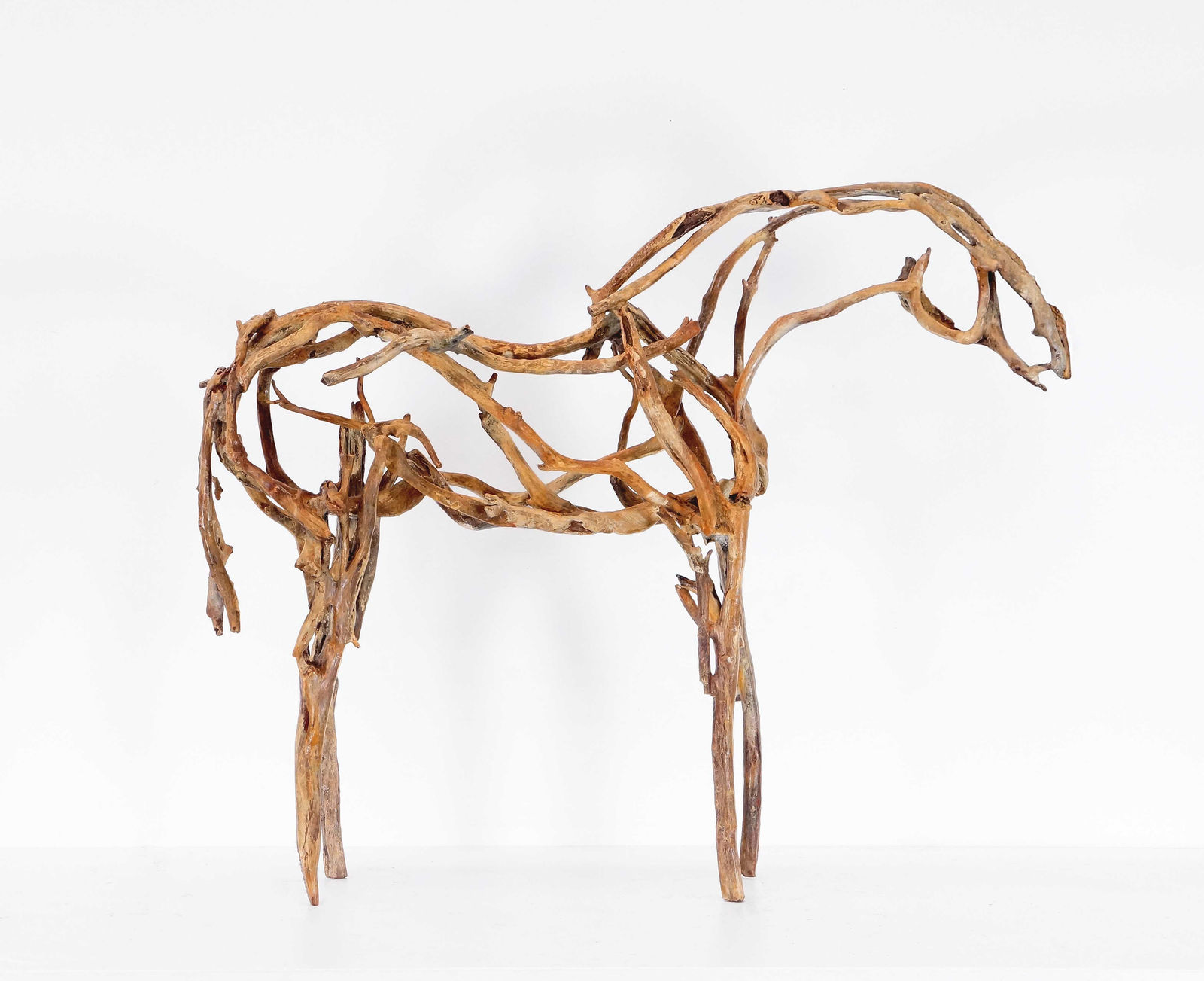 Deborah Butterfield, Kapena, 2022-2024