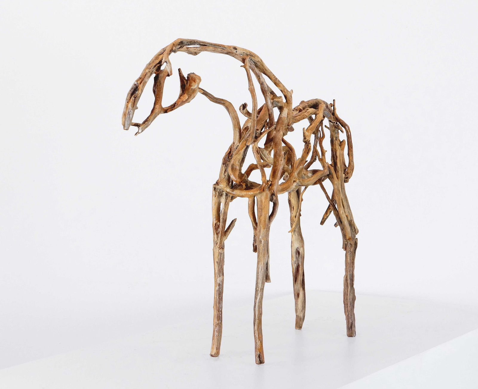 Deborah Butterfield, Kapena, 2022-2024