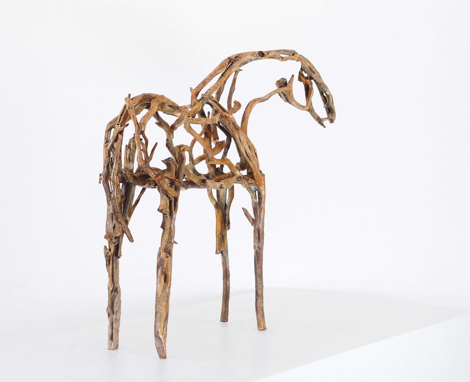 Deborah Butterfield, Kapena, 2022-2024