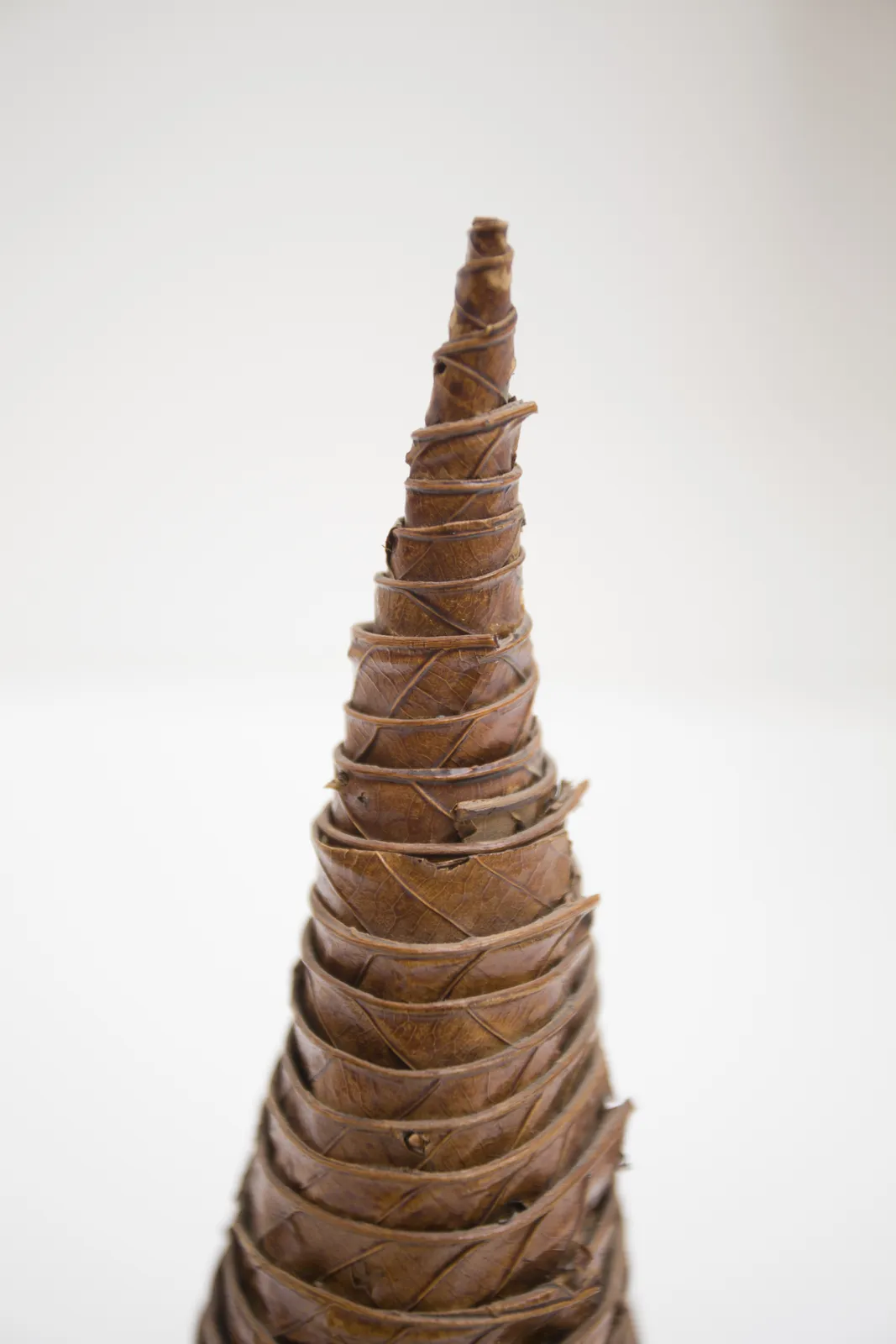 Andy Goldsworthy, Leaf Cone, 1987