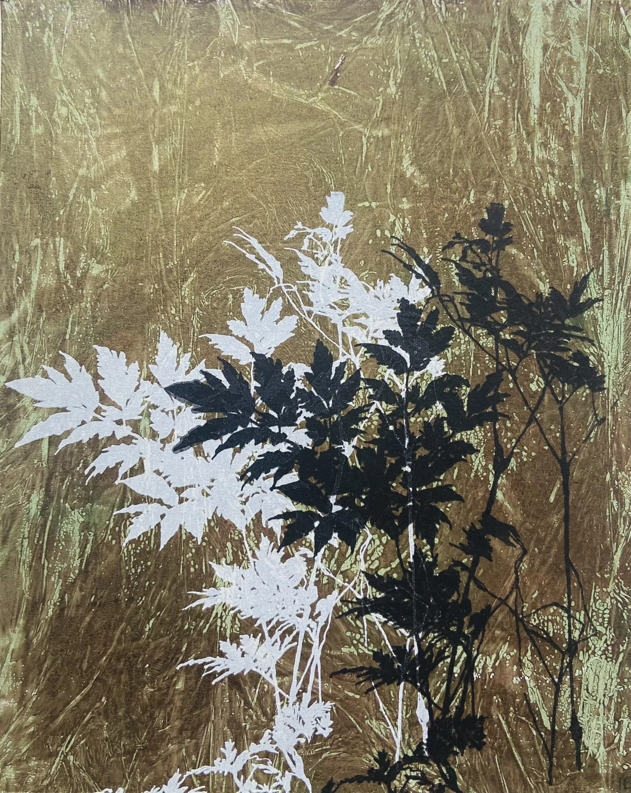 Ingrid Bell, Shadow Tree, 2025