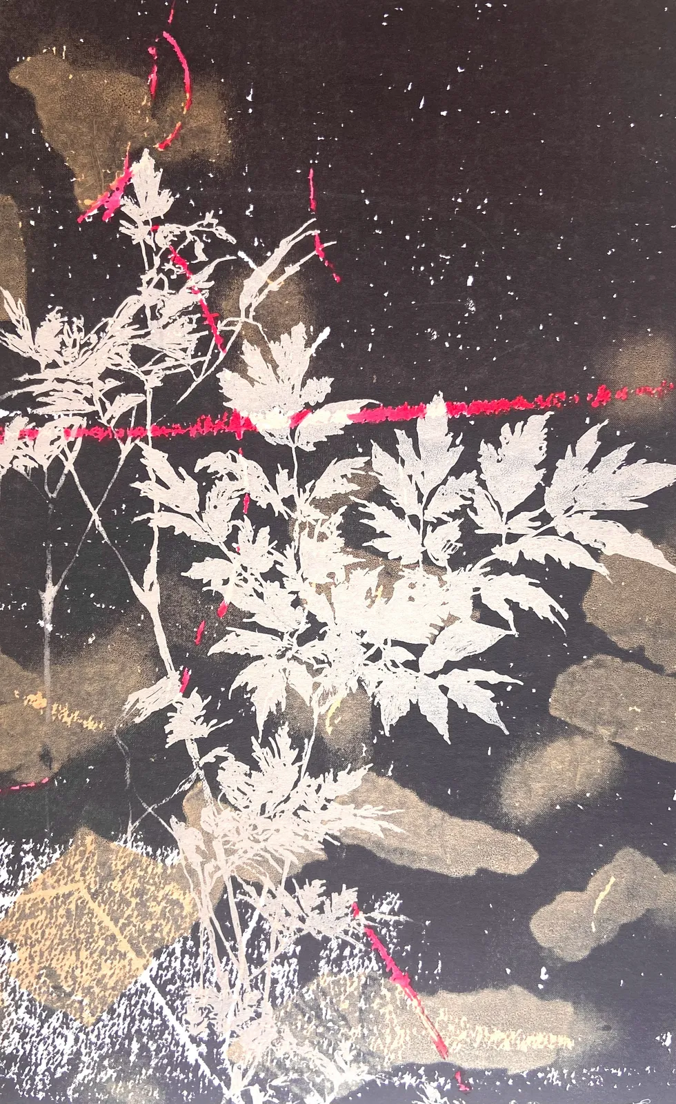 Ingrid Bell, Gold Acer, 2025