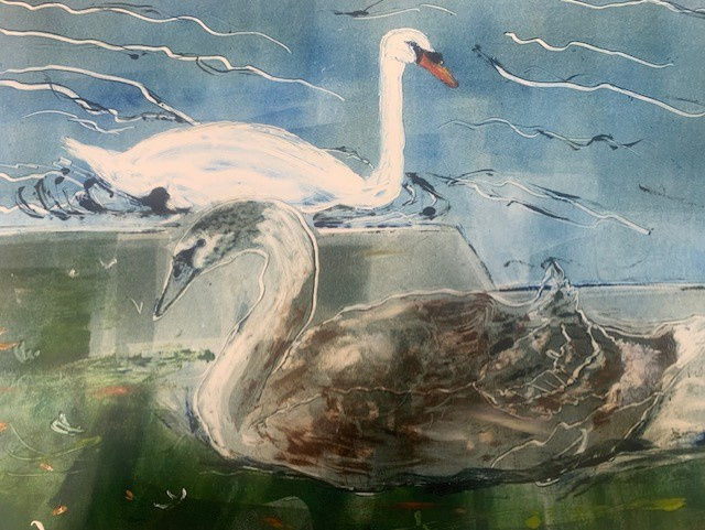 Doreen Boogert, Cygnet Outgrowing the Parent, 2024