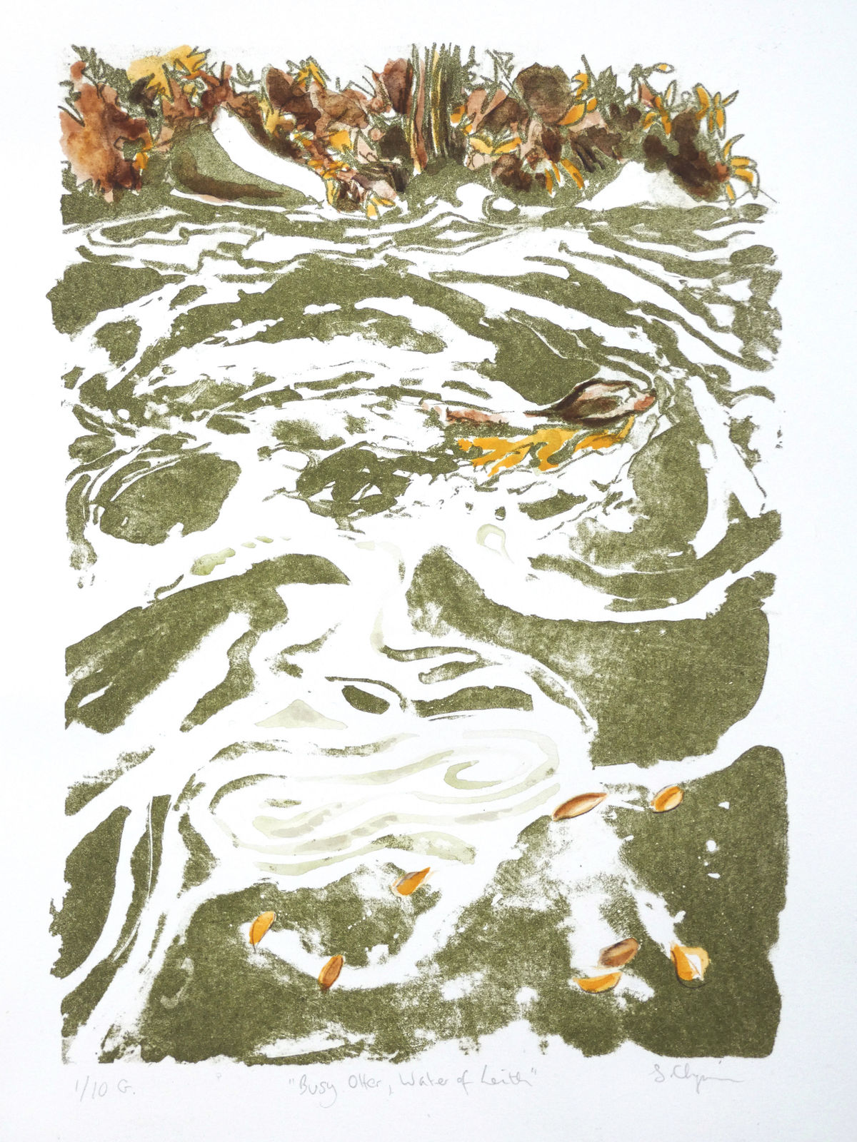 Sheila Chapman, Busy Otter, Water of Leith (Green), 2024
