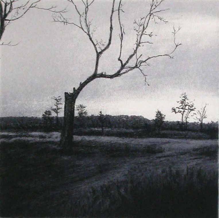 Alan Kilpatrick, Balipara Clearing, 2004