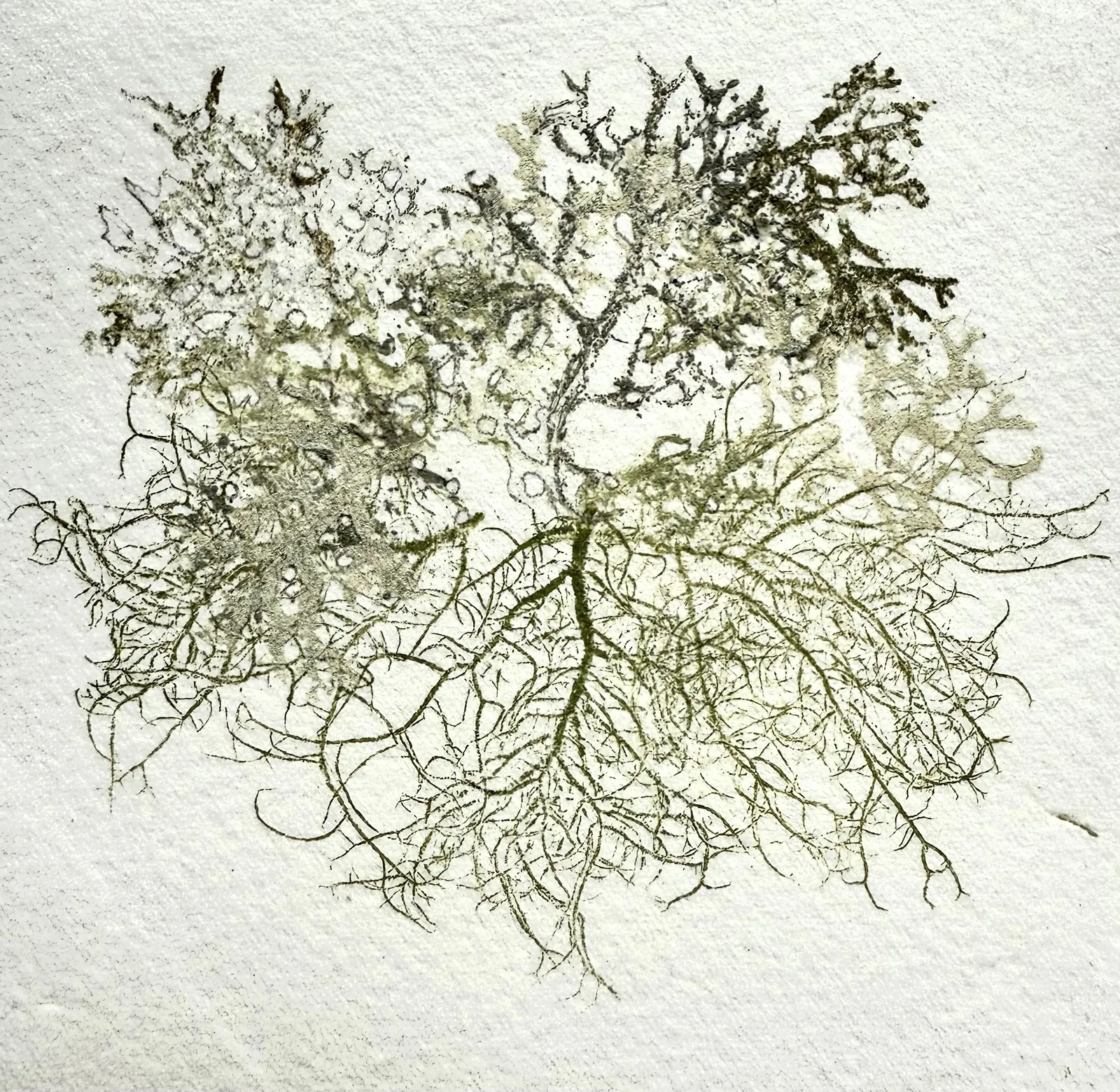 Alison Grant, Held Between the Ocean and the Sky II, 2025