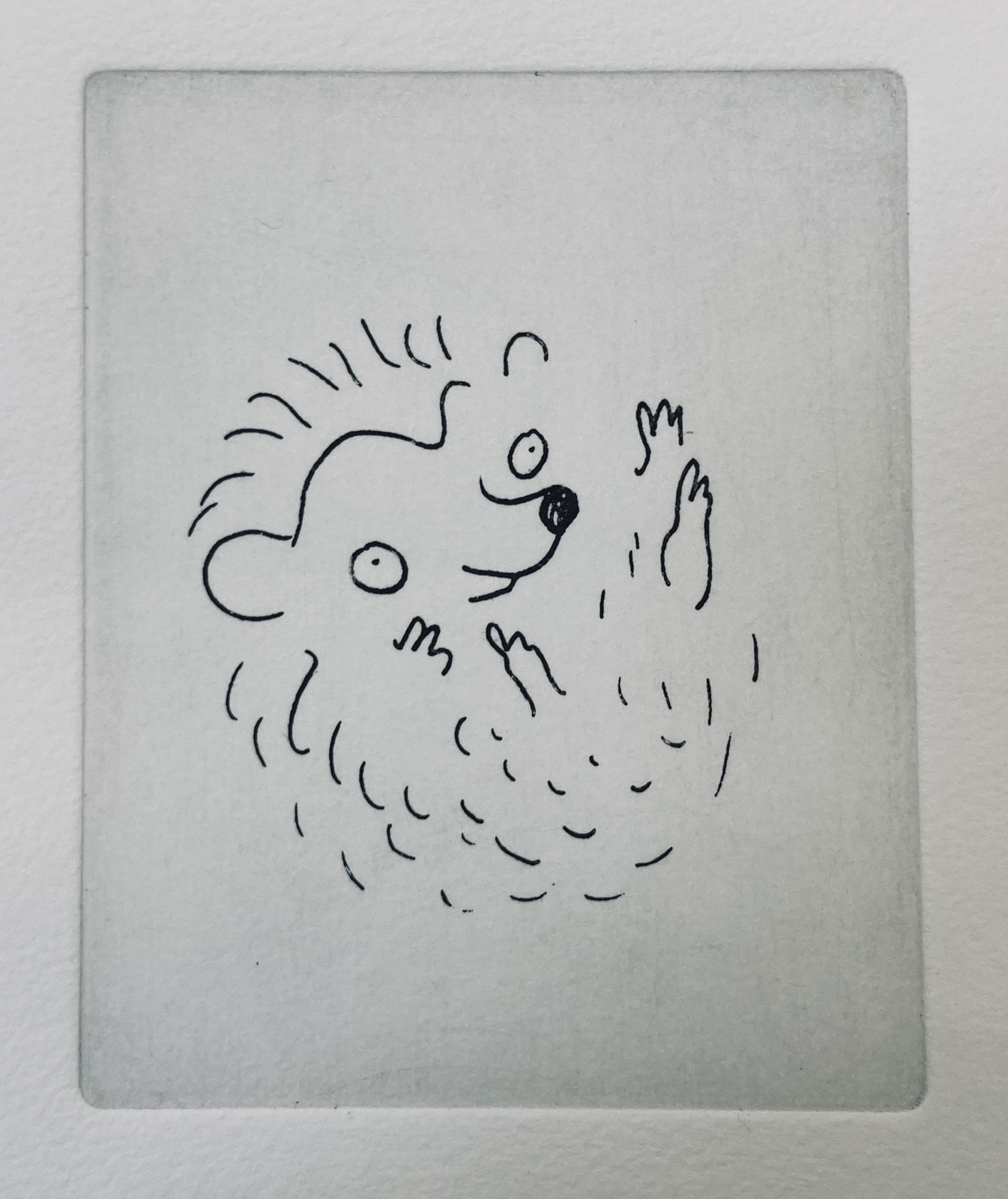 Louise Wilde, Baby Hedgehog, 2025