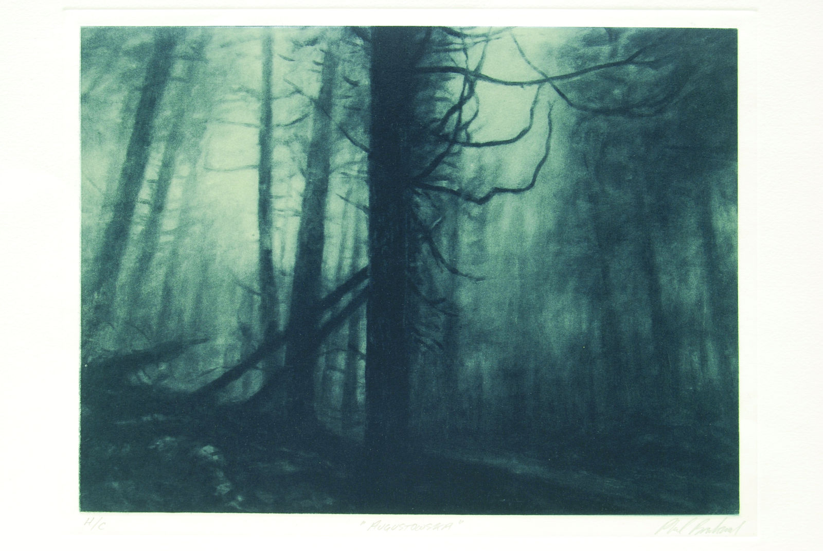 Philip Braham, Augustowska 2, 2003