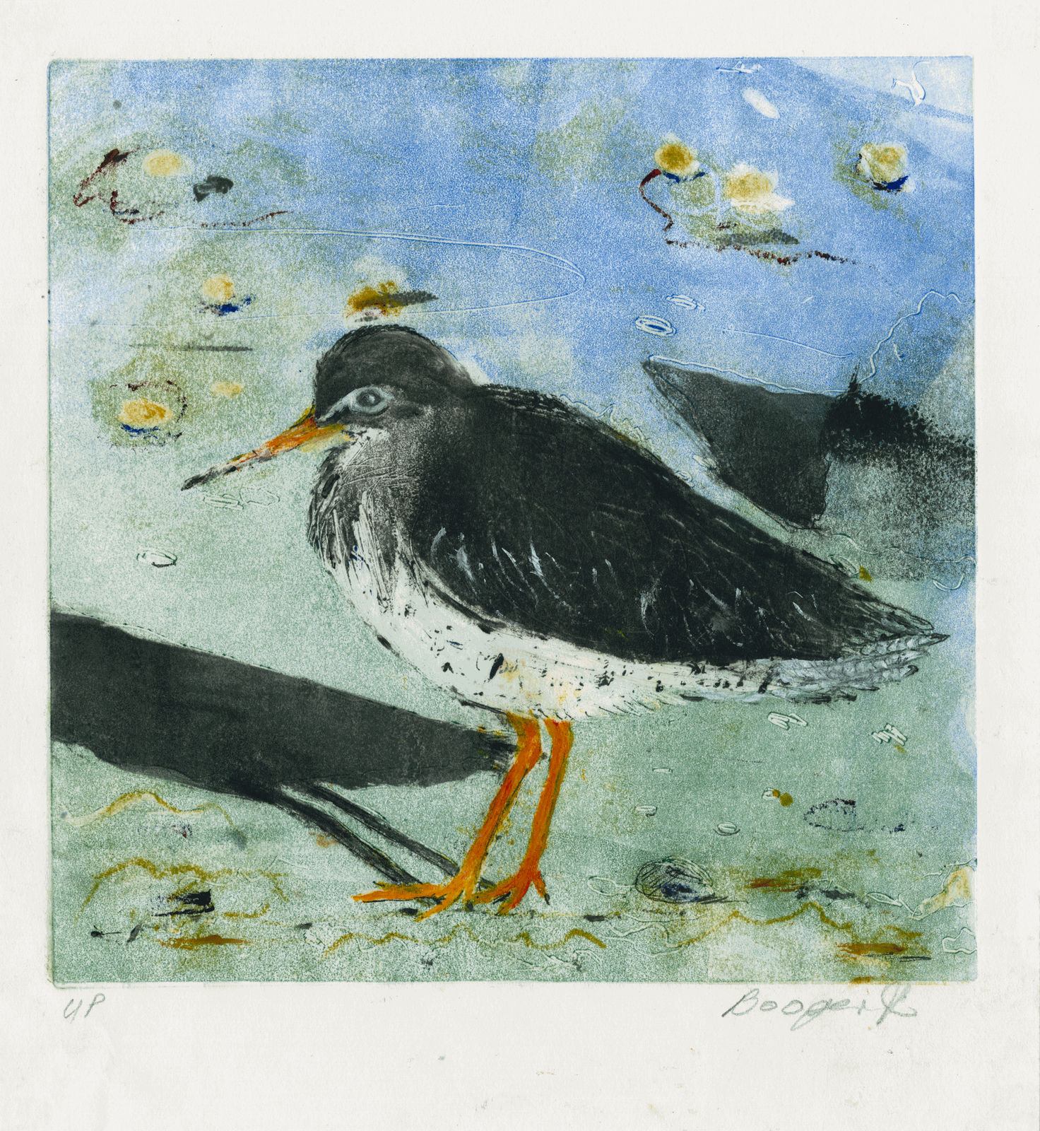 Doreen Boogert, Redshank With Shadow, 2022