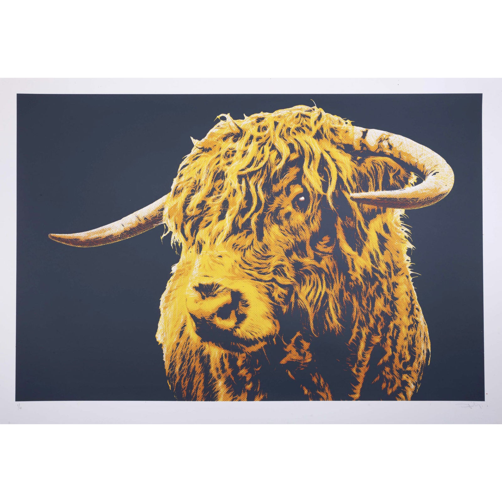 Frazer Murphy, Red Balermartine Bull, 2022