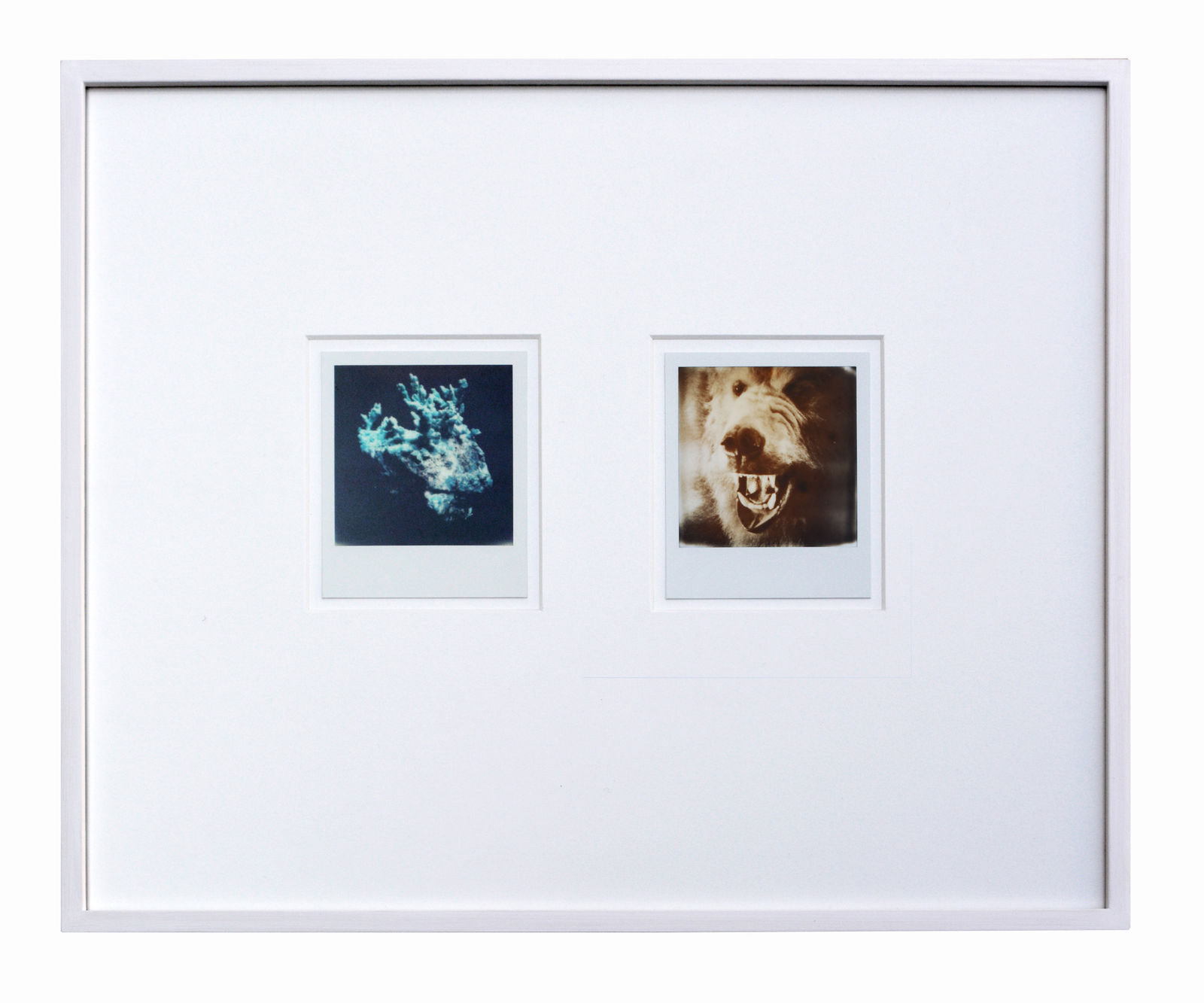 Basim Magdy, The Day the Invisible Ones Manifested Themselves as Ghosts (no.6) , 2014